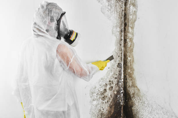 The Village Of Indian Hill, OH Mold Removal Company