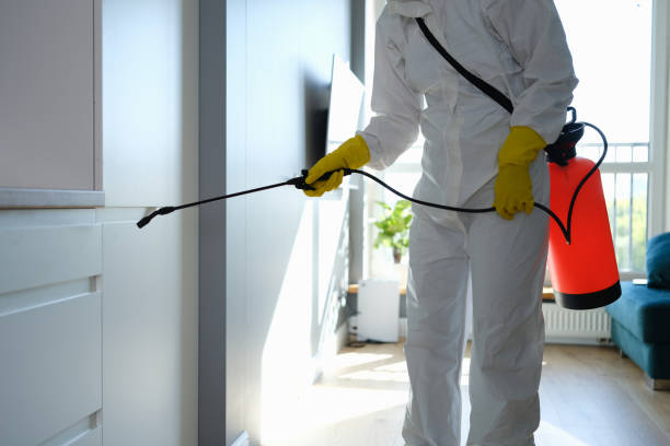 Crawl Space Mold Removal in The Village Of Indian Hill, OH