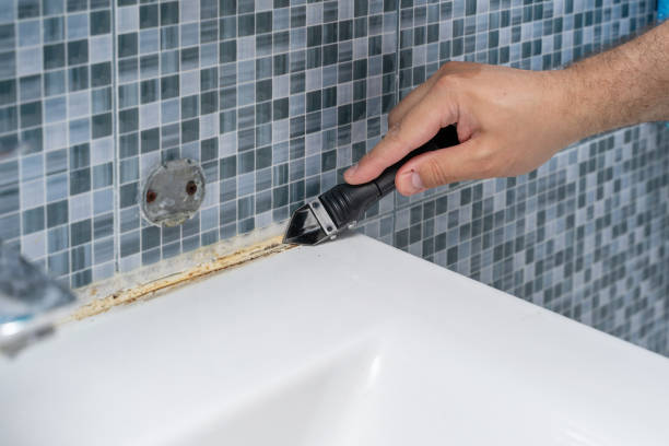 Office Mold Removal Services in The Village Of Indian Hill, OH